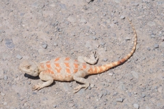 Erste Eindrücke aus Usbekistan