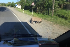 Auf dem Weg nach Kutaissi