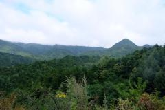 Lanzhou-Tianshui-Maiji-17