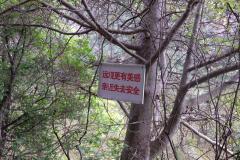 Lanzhou-Tianshui-Maiji-27