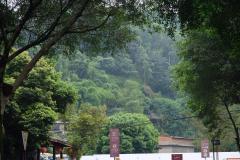 Groesste-Buddha-Statue-der-Welt-30