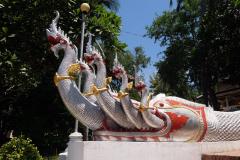 Tempel-von-Luang-Prabang-42