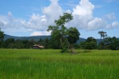 Mekong-Dschungel-und-Wasserfaelle-13