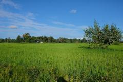 Mekong-Dschungel-und-Wasserfaelle-14