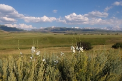 Naturreservat Aksu-Jabagly-14