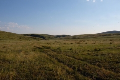 Naturreservat Aksu-Jabagly-18