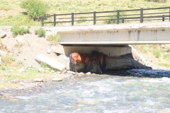 Kolsay-Seen-15