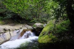 Naturschutzgebiet-Tangjiahe-12