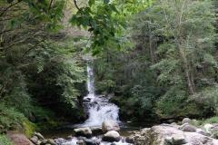 Naturschutzgebiet-Tangjiahe-14