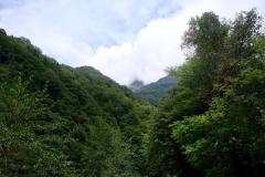 Naturschutzgebiet-Tangjiahe-15