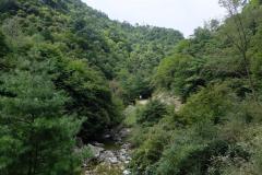 Naturschutzgebiet-Tangjiahe-20