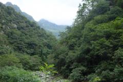 Naturschutzgebiet-Tangjiahe-7