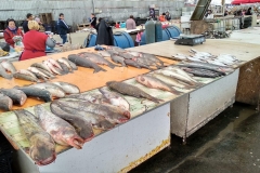 Privoz Markt in Odessa