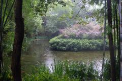Chengdu-10