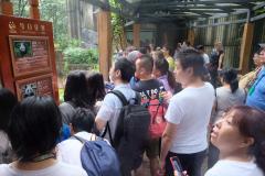 Chengdu-12