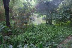 Chengdu-13