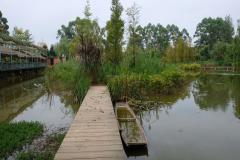 Chengdu-28