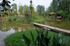 Chengdu-29
