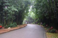 Chengdu-5