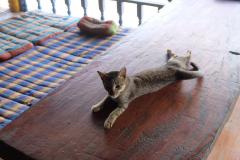 Im-Reich-der-4000-Inseln-8