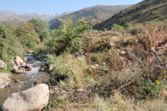 Rückfahrt-ins-kirgisische-Bishkek-12