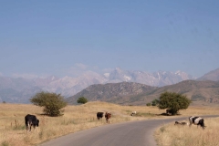 Rückfahrt-ins-kirgisische-Bishkek-2