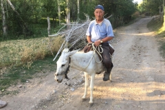 Rückfahrt-ins-kirgisische-Bishkek-27