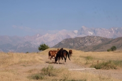 Rückfahrt-ins-kirgisische-Bishkek-4