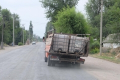 Auf-den-Strassen-von-Bishkek-4