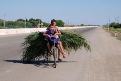 Auf den Straßen in Usbekistan