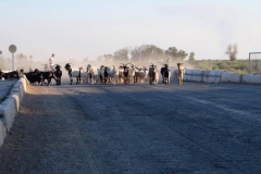 Auf den Straßen in Usbekistan