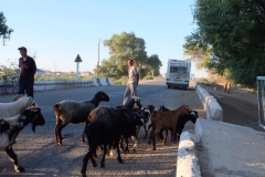 Auf den Straßen in Usbekistan