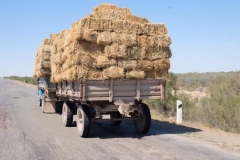 Auf den Straßen in Usbekistan