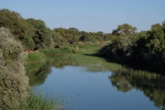 Auf den Straßen in Usbekistan