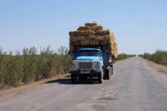Auf den Straßen in Usbekistan