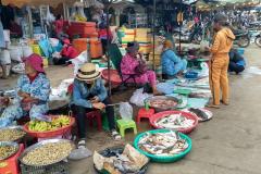 Stung-Treng-nach-Kratie-1