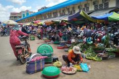 Stung-Treng-nach-Kratie-9