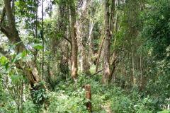 Tad-Fane-Wasserfaelle-in-Laos-12