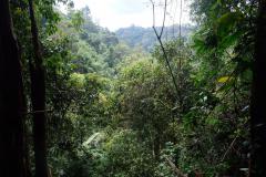 Tad-Fane-Wasserfaelle-in-Laos-15
