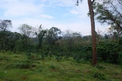 Tad-Fane-Wasserfaelle-in-Laos-16