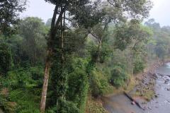 Tad-Fane-Wasserfaelle-in-Laos-20