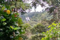 Tad-Fane-Wasserfaelle-in-Laos-9