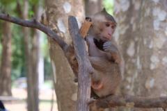 Angkor-Wat-17