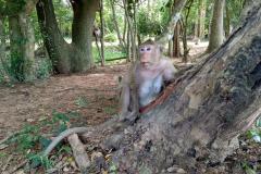 Angkor-Wat-27