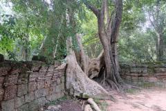 Angkor-Wat-28