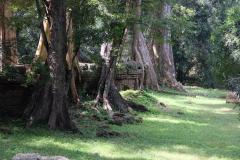 Angkor-Wat-30