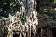 Angkor-Wat-31