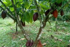 Vang-Vieng-14