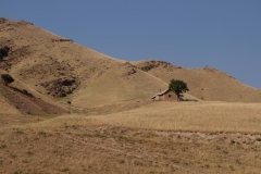 Von-Karaköl-nach-Tash-Kömür-Arkit-23