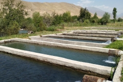 Toktogul-Karaköl-1